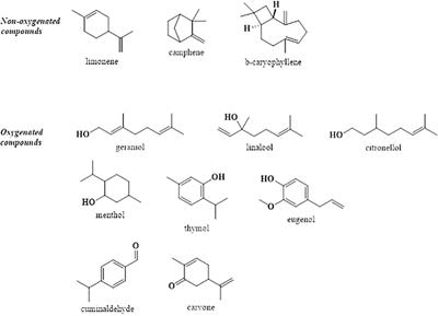 Essential Oil-Bearing Plants From Balkan Peninsula: Promising Sources for New Drug Candidates for the Prevention and Treatment of Diabetes Mellitus and Dyslipidemia